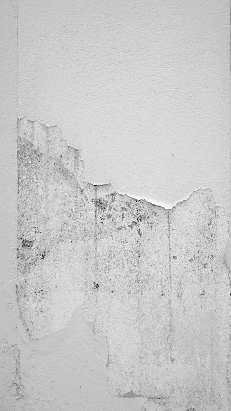 Hole knocked through a plastered wall awaiting making good